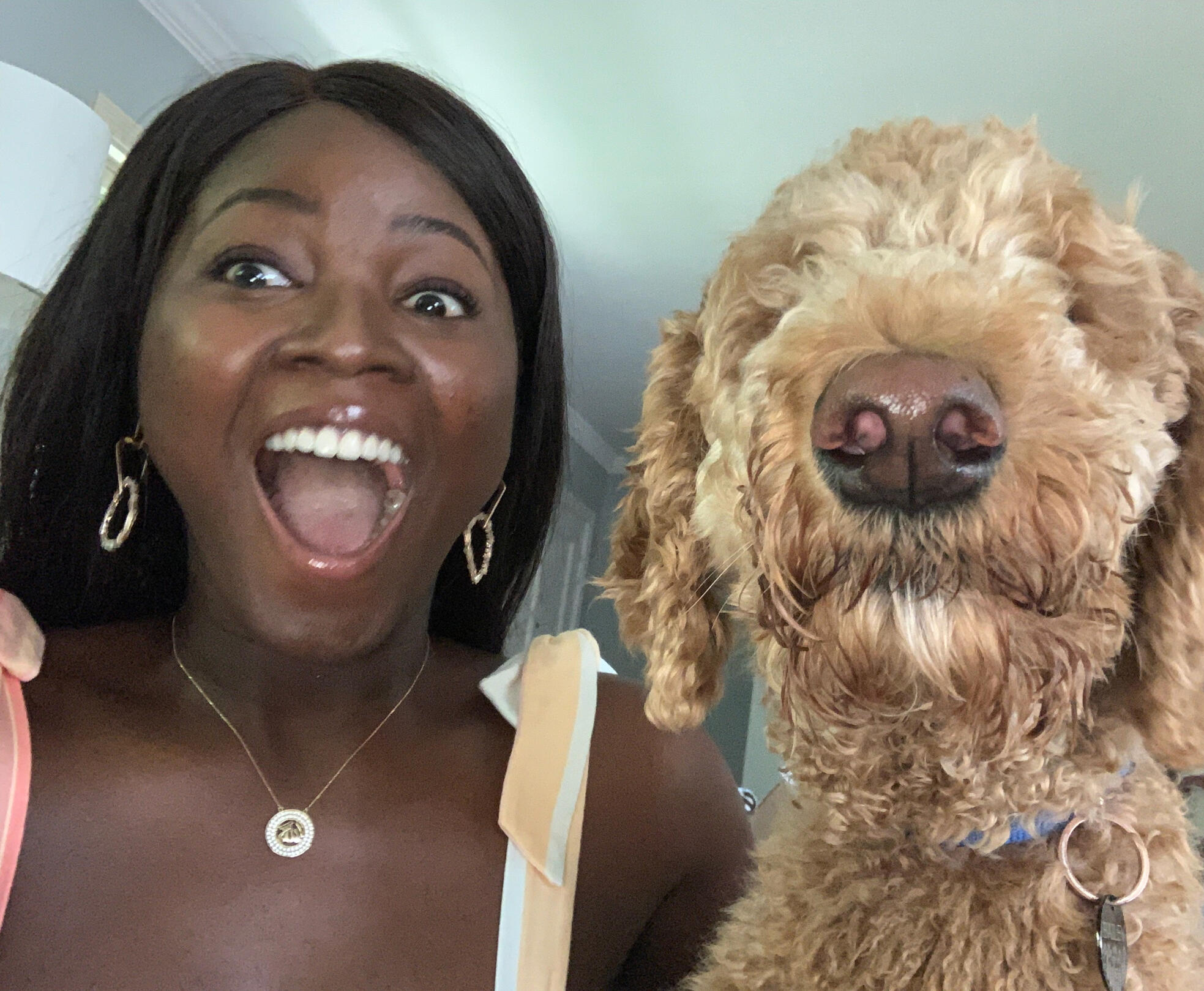 Not even a dog mom yet, just a very passionate dog auntie